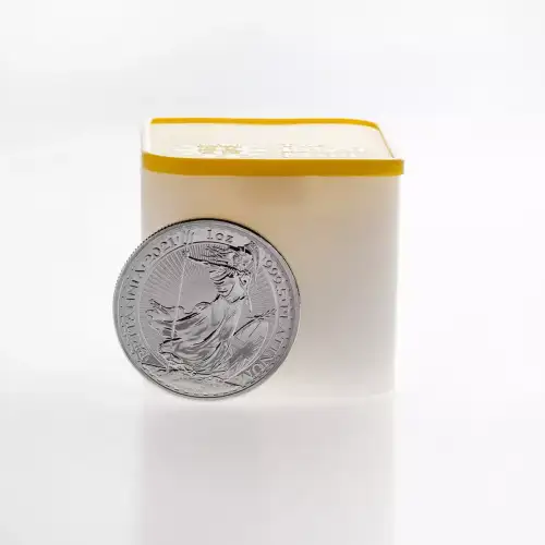 1oz British Platinum Britannia Coin - Backdated (2)