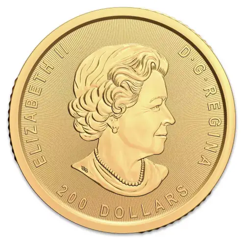 RCM Gold Coin (.99999), 1 oz - Klondike - 2021 (3)